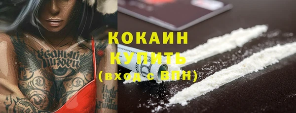 мет Арсеньев