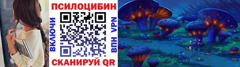 закладки  Бологое  Галлюциногенные грибы прущие грибы 