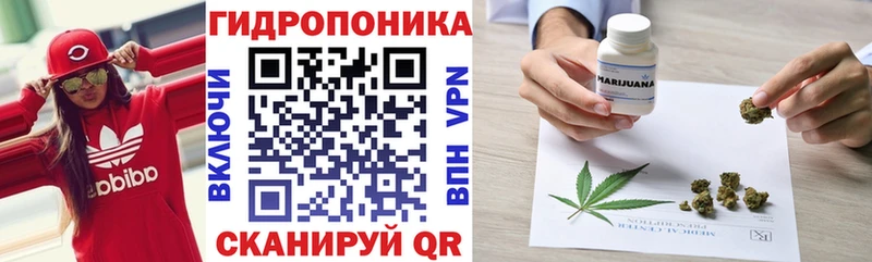 Марихуана план  Бологое 